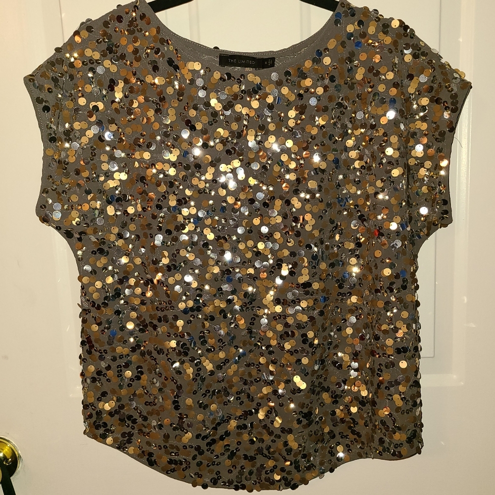 The Limited Multicolor Short Sleeve Sequins Sparkly Top Party Formal Size Small
